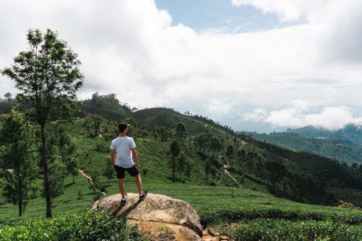 Sri Lanka tea plantation